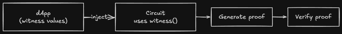 Witness + Circuit Flow